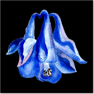 Blue Columbine - Watercolor Flower Painting Posters and Art